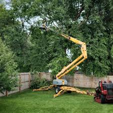 Best Lawn Renovation and Restoration  in North Enid, OK