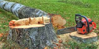 Best Commercial Tree Services  in North Enid, OK