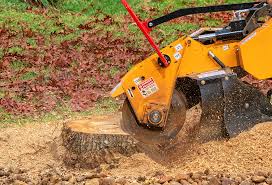 Best Fruit Tree Pruning  in North Enid, OK