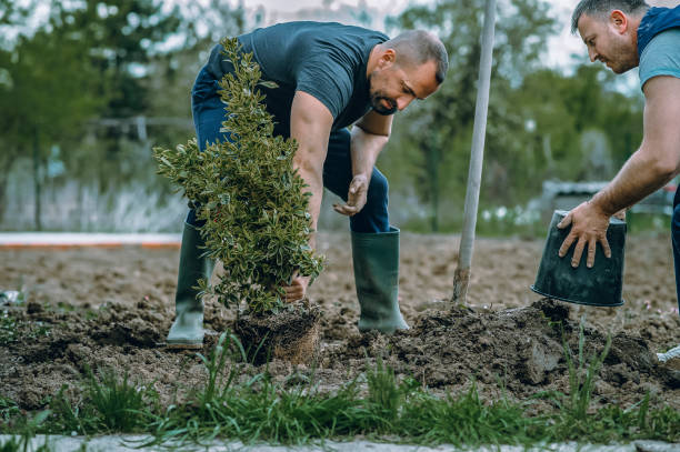 Best Tree Trimming and Pruning  in North Enid, OK