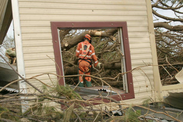 Best Tree Removal  in North Enid, OK